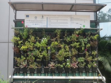 Green Wall installed at the Water Supply and Sanitation Department of Maharashtra. Source: ESF 2015